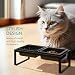Navaris Moderne Futterstation für Katzen und Hunde - Futternapf Set aus Steingut und Eisen - erhöhter Napf Ständer Metall - 2X Fressnapf Katzennapf spülmaschinenfest
