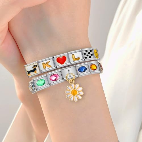 Custom Italian Charm Bracelet Kit 10/15/20 Personalized Charms Silver Adjustable Link Bracelet with Tool DIY Module Jewelry Gifts for Women/Men4