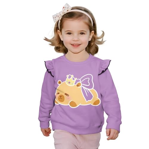 Long Sleeve Sweatshirts for Toddler Girls 1-8T Graphic Sweatshirts Active Pullover Tops
