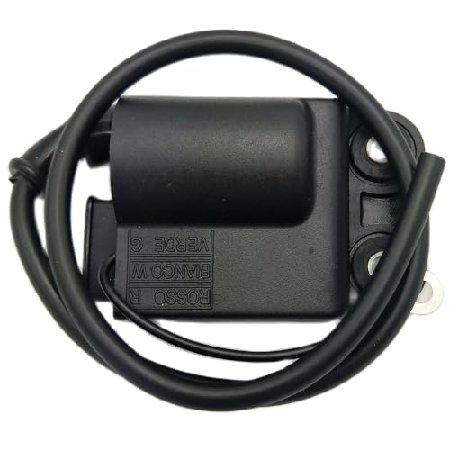 Unidad CDI con bobina para solucionar tirones y fallos en tu Runner 50 SP 3