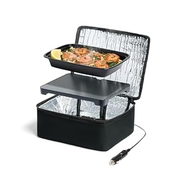 heated lunch box for car