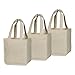 Best Cloth Tote Shopping Bags Heavy Duty & Premium - Reusable Canvas Shopping Bags for Groceries - Washable & Eco-friendly Cloth Beach Bags with Handles - Perfect Picnic Tote Bags (2 Bags)