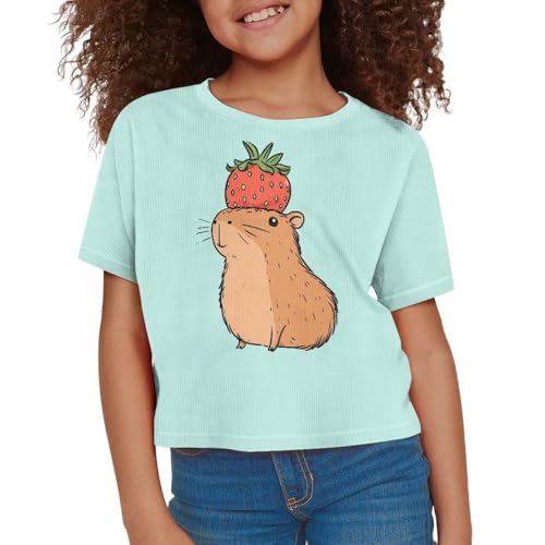 Image of Girls Crop Tees Crew Neck Casual Short Sleeve T Shirts Kids Loose Soft Comfortable Tees Blouses Shirt for Little Girl