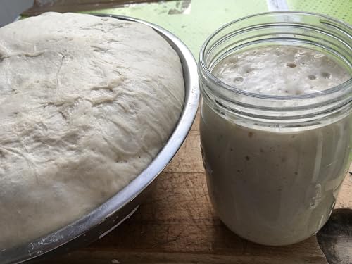 MYLEVAIN Paillettes de levain naturel français - Levain biologique vivant - Millésime 2009