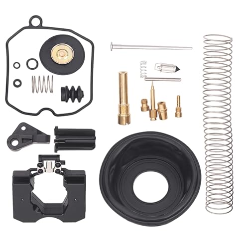 Kit réparation carburateur moto résout fuite et ratés Harley Davidson XL883 1200