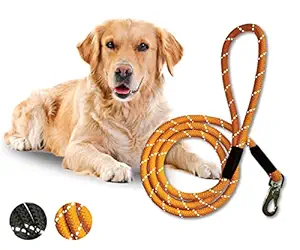 Boltz Dog Reflective Leash 5FT Long, Reflective Rope for Medium & Large Dogs (Orange)