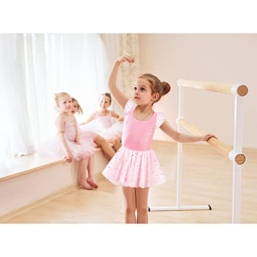 Image of DANSHOW Girls Glitter Leotards for Ballet Dance Dress with Tutu Skirt Petal Sleeve