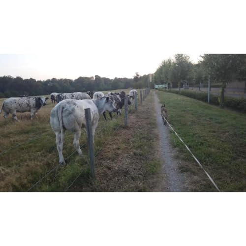 avond wandeling knooppunten terworm