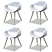 XGATML TANGDIAABBCC YIROCK K-Musculo Purenity New Aesthetic Style Streamline Design Modern Dining Arm Side Chairs Set of 4 (White)