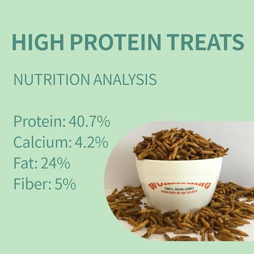 Premium Dried Black Soldier Fly Larvae, High Protein Chicken Feed, Optimal Poultry Nutrition (100 Grams)
