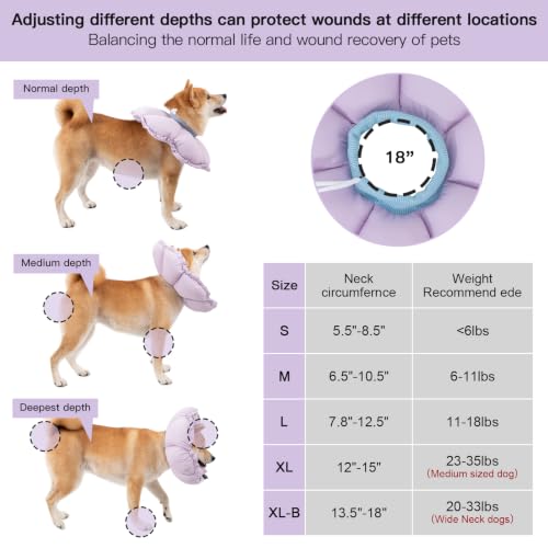 Image of H HIDREAM Soft Dog Cones for Medium Dogs,Cute Adjustable Cone for Dogs to Stop Licking,Dog Recovery Collars & Cones that can Protect Head and Foot Wounds,Purple Flower All-Season Style