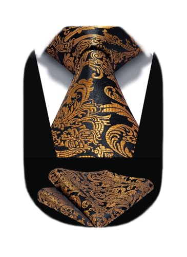 Image of HISDERN Ties for Men Paisley Tie and Pocket Square Woven Classic Floral Mens Ties Handkerchief Set Wedding Party Necktie