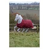 Bucas Freedom Light, Cherry 135