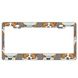 Passend für Nummernschilder in Standardgröße für Fahrzeuge, die in den USA und Kanada verkauft werden.