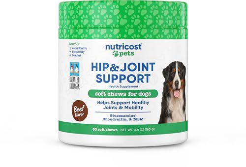 Nutricost Pets Hip & Joint Support Soft Chews for Dogs (Beef Flavored) 60 Soft Chews - Supports Healthy Joints & Mobility, NASC Certified