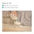 Baby Brezza Reusable Breastmilk Storage Bags, 10 Pack, Includes Filling Funnel