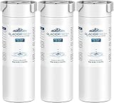 GLACIER FRESH XWF Replacement for GE XWF Refrigerator Water Filter Pack of 3