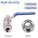 DERNORD Full Port Ball Valve Stainless Steel 304 Heavy Duty for Water, Oil, and Gas with Blue Locking Handles (3/8