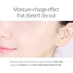 ROUND-LAB-Birch-Juice-Moisturizing-Sunscreen-SPF50-PA-A-moisturizing-sunscreen-No-White-Cast-Strong-UV-Protection-Moist-Essence-Type-Ocean-Friendly-Reef-Safe-169floz