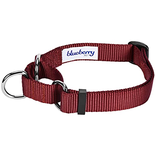 Blueberry Pet Essentials Martingale Safety Training Dog Collar, Fired Brick, Small, Heavy Duty Nylon Adjustable Collars For Dogs #TOP1