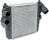 Dorman 918-554 Intercooler Compatible with Select Ford/Lincoln Models