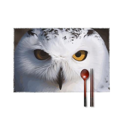 Sets de table anti-tache hibou enneigé protection table de cuisine - 2