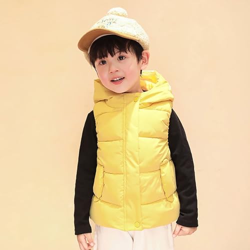 Toddler Boys Girls Puffer Vest Baby Cute Hooded Quilted Jackets Sleeveless Lightweight Puffy Zip Up Down Gilet2