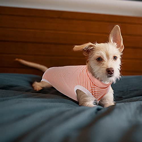 Image of SAWMONG Recovery Suit for Dogs After Surgery Professional, Dog Spay Surgical Suit for Female Dogs, Dog Onesie Bodysuit for Surgery Male Substitute E-Collar Cone, Pink, X-Large