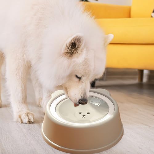 Distributeur flottant pour eau avec écuelle anti-débordement chats