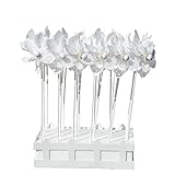 Windspiel - Moulin Set 24Stck. Ornament - UV-beständig und wetterfest - Windrad: Ø9cm, Standhöhe: 28cm - fertig aufgebaut mit Standstäben im dekorativen Blumenkasten (Ornament)