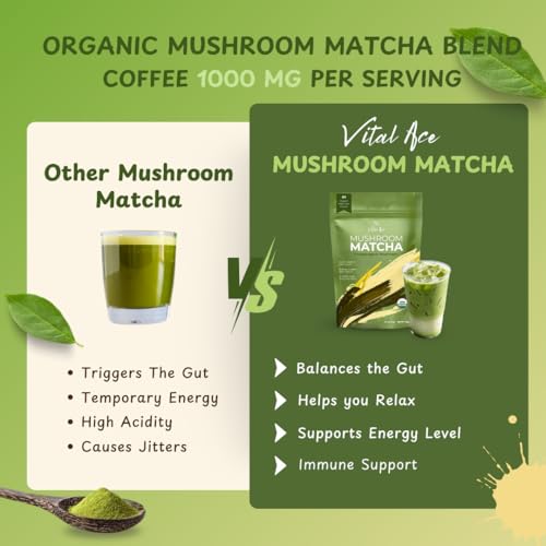 Polvo matcha con 7 hongos adaptogénicos orgánicos 30 porciones miniatura 3