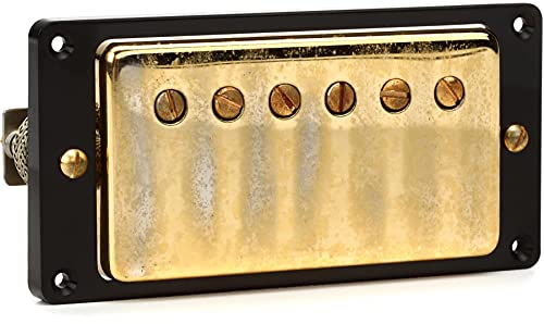 Amazon.com: Seymour Duncan Antiquity Humbucker Pickup - Gold Neck 