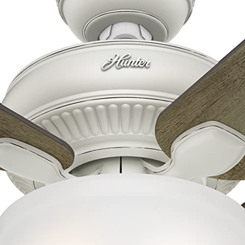 Hunter Matheston Indoor / Outdoor Ceiling Fan With Light And Pull Chain Control #TOP4
