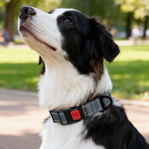 Image of Taglory Reflective Dog Collar for Medium Dogs, Soft and Safe for Daily Walk