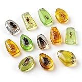 12 Piezas de fósiles de Insectos de ámbar, Insectos en Resina,escarabajos...