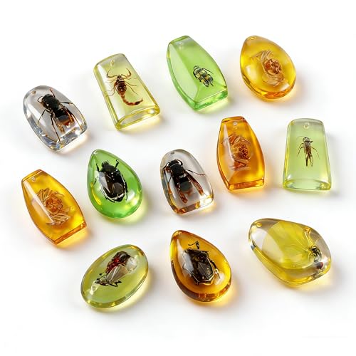 12 Piezas de fósiles de Insectos de ámbar, Insectos en Resina,escarabajos conservados en Resina, Juguetes educativos para niños y Colecciones científicas