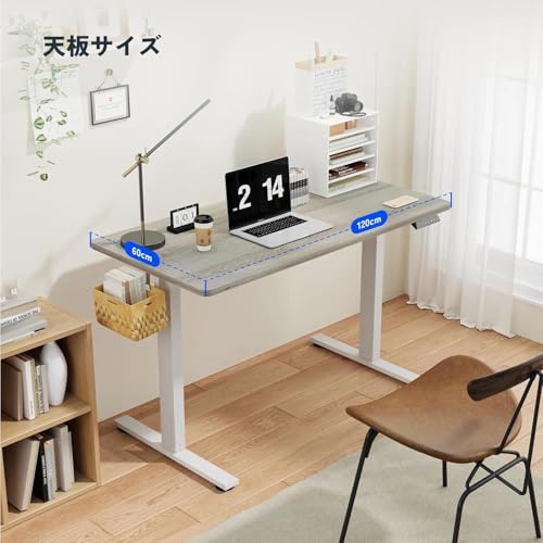 FLEXISPOT スタンディングデスク EF1 120x60cm