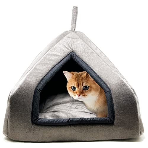 MidWest Homes for Pets Premium Soft Velvet Fabric Bed Cats Kittens & Suitable Dog Puppies House Length-48 Cm * Width-48 Cm * Height-48 Cm (Small Size)