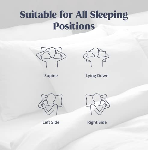 Puredown® Down Fiber Pillow Egyptian Cotton Fabric Standard/Queen Set Of 2 #TOP3