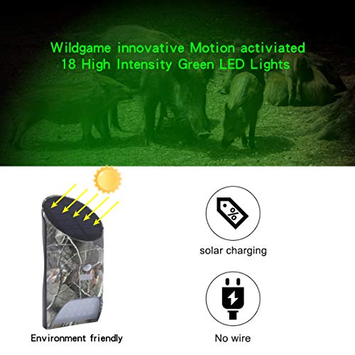 Feeder Hog Light Vizzlema Outdoor Solar Feeder Light For Hunting With Motion Sensor And Green Light For Game Animal Hunting #TOP1