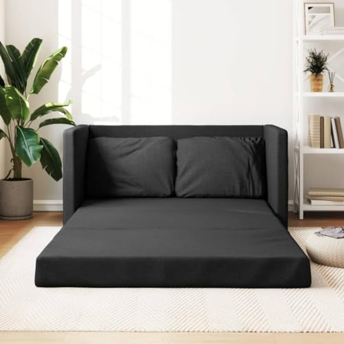 NITCA Canapé Convertible 2 Places - Banquette Lit 2 en 1 - Noir - Tissu
