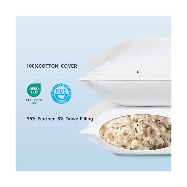   SLEEP-ZONE-Throw-Pillows-Insert-24x24Pack-of-2-White-Down-Feather-Throw-Pillow-Insert-for-Sofa-Bed-and-Couch-Decorative-Pillows-100-Skin-Friendly-Cotton-Cover