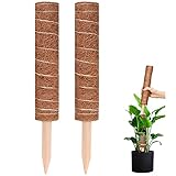 Soporte seguro y estable: el robusto poste de madera afilado facilita la inserción en el suelo, proporcionando un fuerte soporte para la extensión de la planta. La cuerda envuelta alrededor de la varilla de musgo aprieta firmemente el musgo de cáscara de coco, que se puede usar durante mucho tiempo.