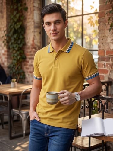 Image of XENOVAURBAN Polo t Shirt for Man | Striped Pattern Mens Cotton Polo Neck T-Shirt with Collar | Regular fit | Breathable and Soft - Polo-Striped-P