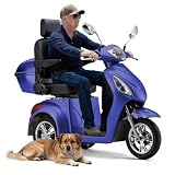 SKRT 3-Wheel Electric Scooter