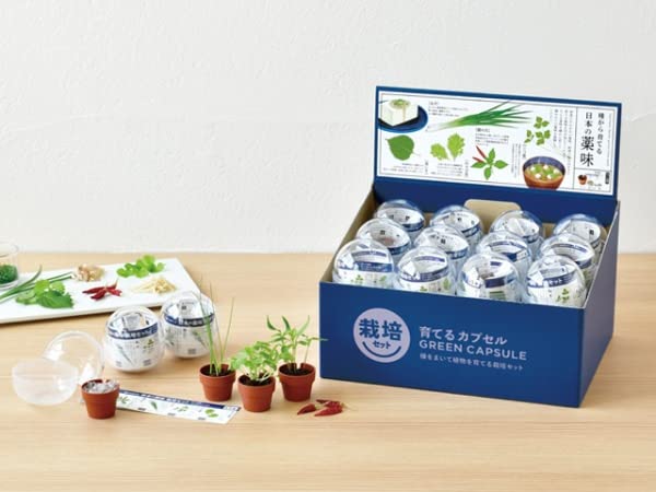 ⭐️プレミアムセット、ビオセル６回分、ビオセル38ml、同液パック３枚入　各２点 Amazon.co.jp: 聖新陶芸 育てるカプセル 薬味 サイズ：約W109 D25 H219