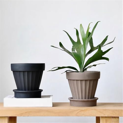 Pot de plante avec trou drainage pour éviter l'excès d'eau - 5