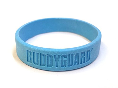 Preisvergleich Produktbild BUDDYGUARD Insektenschutz 6 Stück Blau