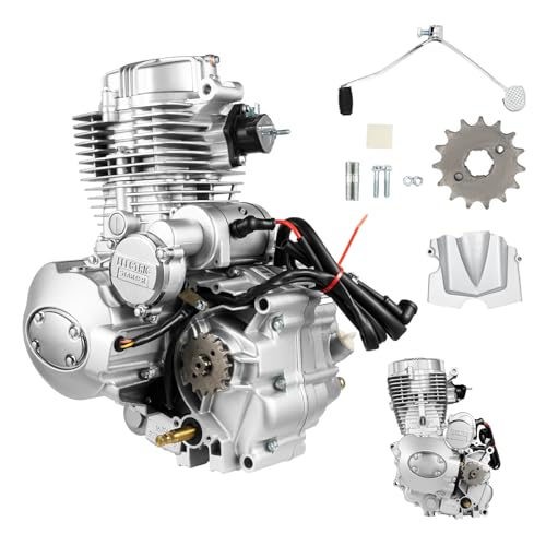 JAYGOVAN 200CC 250CC ATV Engine Motor Kit 4-Stroke Assembly Single Cylinder Air-Cooled Vertical Engine Motor 14HP Dirt Bike Engine with Manual 5-Speed Transmission Fits for Dirt Bike ATV, 7000rpm