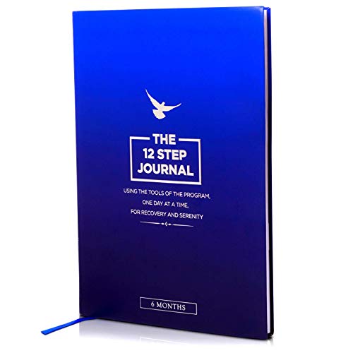 The 12 Step Journal - Using The Tools of the Program, One Day